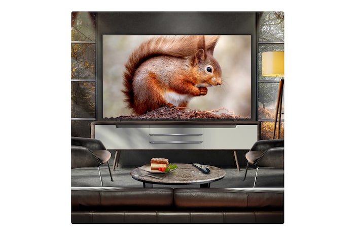 Leopard in the forest in vivid color and detail. The leopard has a grid and a light glowing behind it, indicating how LG AI Picture Pro made impressive visual enhancements to the scene's resolution, brightness, depth, and clarity.