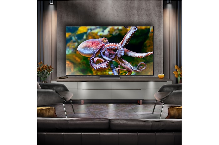 LG 75 inch LG QNED86 AI 4K Smart TV 2024, 75QNED86T6A