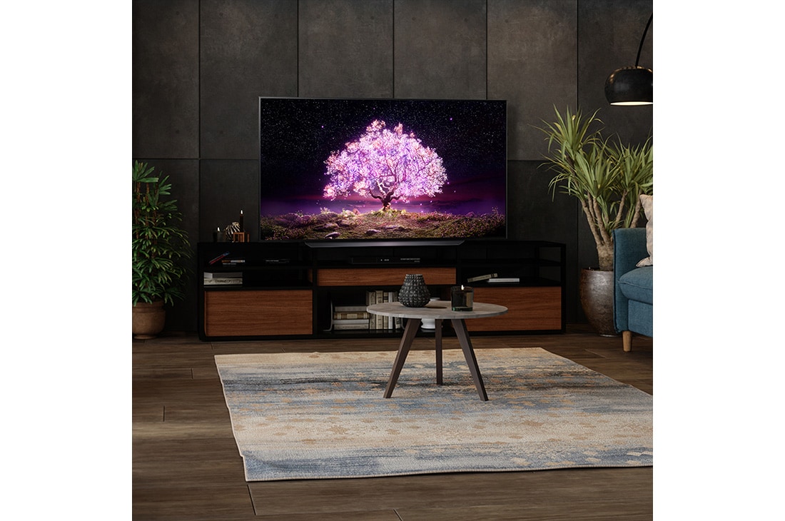 LG OLED C1 48
