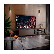 LG OLED B2 55 inch TV 2022, OLED55B26LA