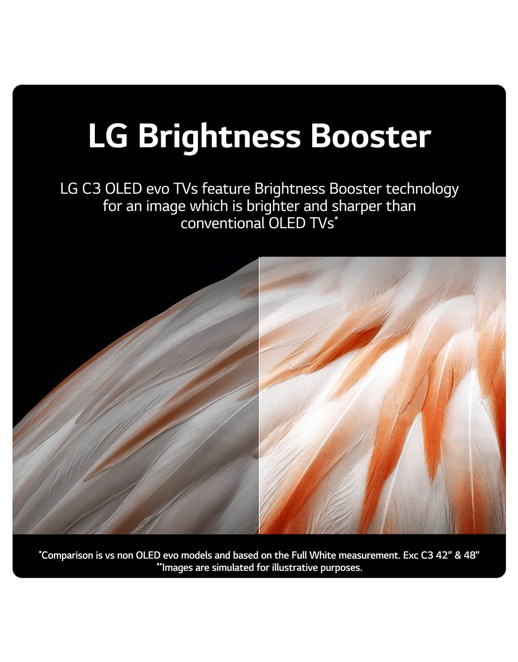 65" LG OLED evo C3 4K Smart TV - OLED65C34LA | LG UK