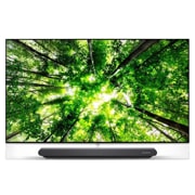 Front view of LG SIGNATURE OLED 4K TV - 65&#34; OLED65G8PLA