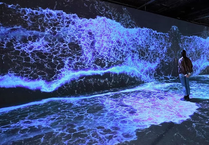 A vibrant luminescent image on an OLED TV