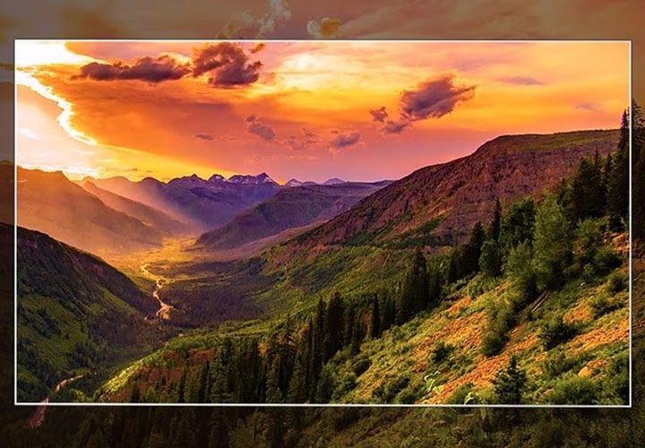 A simulated image showing OLED TV picture quality. 