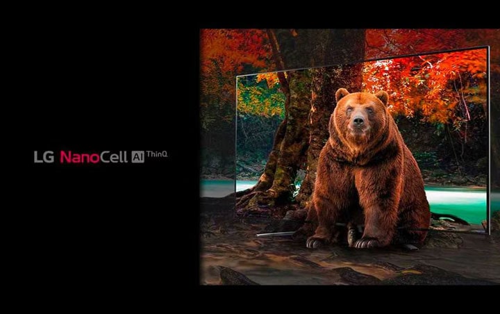 What is NanoCell TV