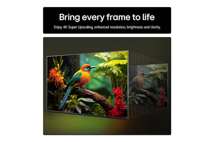 Bring every frame to life