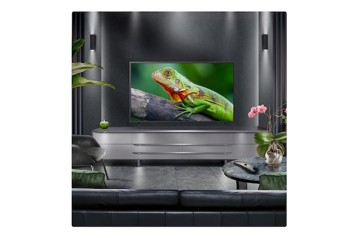 Perspective from the inside of a cave looking out to its entrance where a blue sky and horizon can be seen. The whole scene is split in half to show the capability of QNED's Advanced Local Dimming. On one side, the colors and detail are washed out and the visuals seem muddy. The label says, Conventional LED. The other side has great blacks, better contrast, brightness and color.