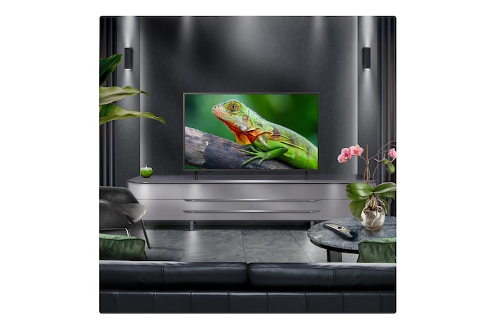 Perspective from the inside of a cave looking out to its entrance where a blue sky and horizon can be seen. The whole scene is split in half to show the capability of QNED's Advanced Local Dimming. On one side, the colors and detail are washed out and the visuals seem muddy. The label says, Conventional LED. The other side has great blacks, better contrast, brightness and color.