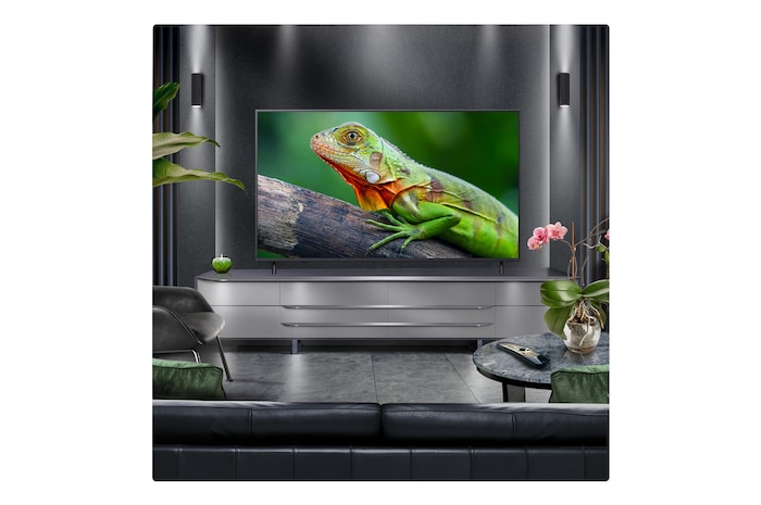 Perspective from the inside of a cave looking out to its entrance where a blue sky and horizon can be seen. The whole scene is split in half to show the capability of QNED's Advanced Local Dimming. On one side, the colors and detail are washed out and the visuals seem muddy. The label says, Conventional LED. The other side has great blacks, better contrast, brightness and color.