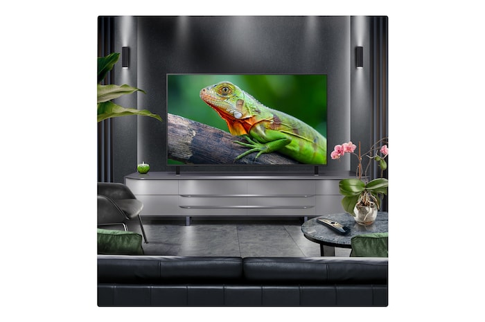 Perspective from the inside of a cave looking out to its entrance where a blue sky and horizon can be seen. The whole scene is split in half to show the capability of QNED's Advanced Local Dimming. On one side, the colors and detail are washed out and the visuals seem muddy. The label says, Conventional LED. The other side has great blacks, better contrast, brightness and color.