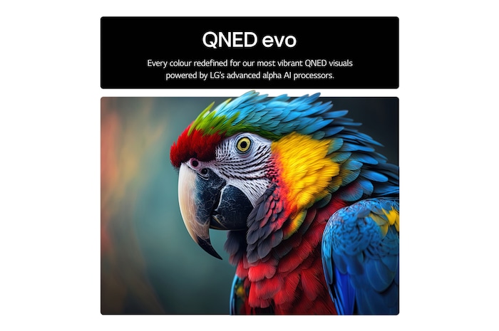 Front view and side view of LG QNED evo AI 4K Smart TV showing its length, width, height, and depth dimensions.