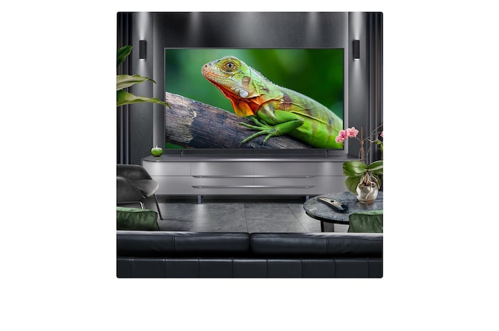 Perspective from the inside of a cave looking out to its entrance where a blue sky and horizon can be seen. The whole scene is split in half to show the capability of QNED's Advanced Local Dimming. On one side, the colors and detail are washed out and the visuals seem muddy. The label says, Conventional LED. The other side has great blacks, better contrast, brightness and color.