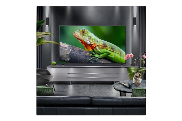 Perspective from the inside of a cave looking out to its entrance where a blue sky and horizon can be seen. The whole scene is split in half to show the capability of QNED's Advanced Local Dimming. On one side, the colors and detail are washed out and the visuals seem muddy. The label says, Conventional LED. The other side has great blacks, better contrast, brightness and color.