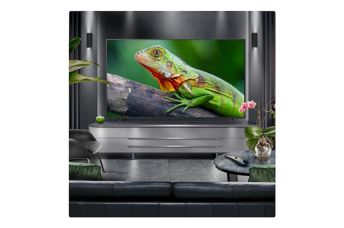 Perspective from the inside of a cave looking out to its entrance where a blue sky and horizon can be seen. The whole scene is split in half to show the capability of QNED's Advanced Local Dimming. On one side, the colors and detail are washed out and the visuals seem muddy. The label says, Conventional LED. The other side has great blacks, better contrast, brightness and color.