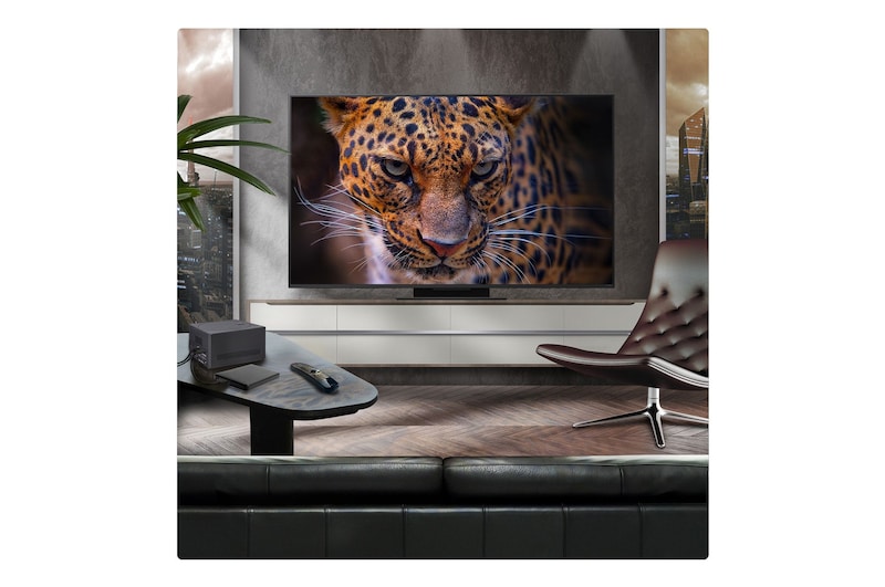 A family sits on a couch facing a LG QNED TV mounted on a wall above a LG Soundbar with a little girl pointing to a screen depicting two dolphins. The title talks about how every action is more thrilling on a massive screen.