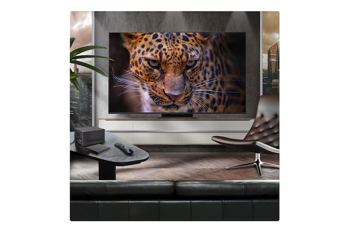 A family sits on a couch facing a LG QNED TV mounted on a wall above a LG Soundbar with a little girl pointing to a screen depicting two dolphins. The title talks about how every action is more thrilling on a massive screen.