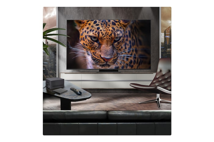 A family sits on a couch facing a LG QNED TV mounted on a wall above a LG Soundbar with a little girl pointing to a screen depicting two dolphins. The title talks about how every action is more thrilling on a massive screen.