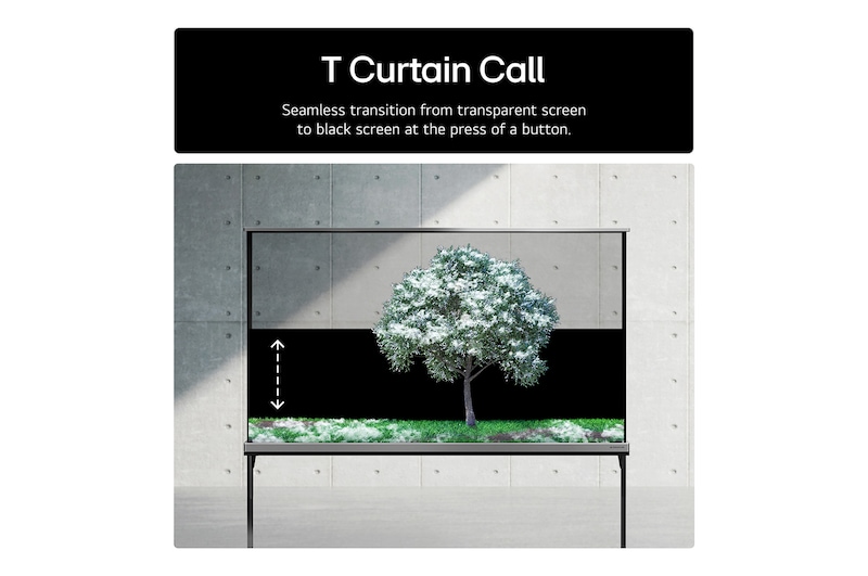 T Curtain