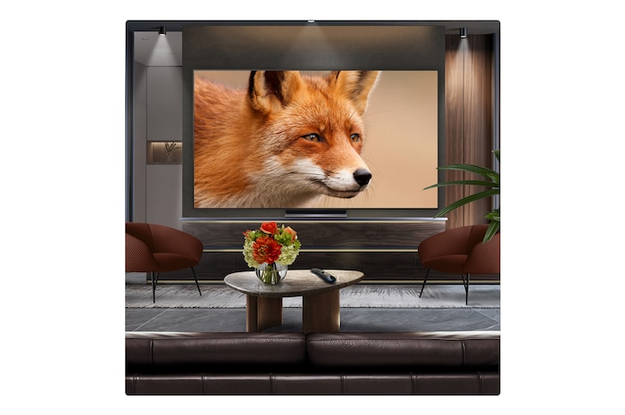 Campfire at night in the middle of nature. In the distance is a forest and lake. The evening sky is filled with stars. The whole scene is split in half. One side is darker and duller. The other half is remarkably brighter, showcasing the impressive brilliance from Brightness Booster. 