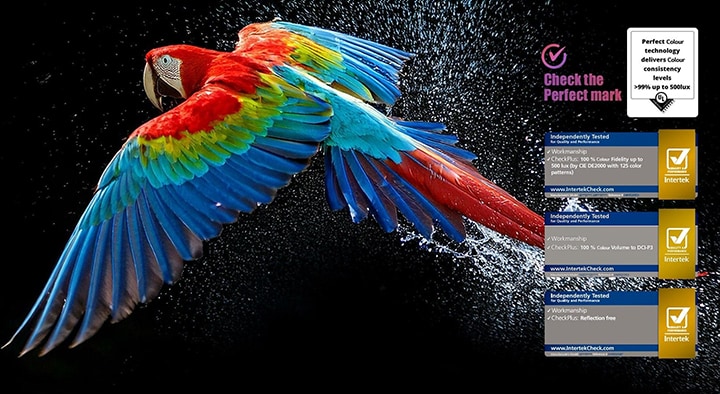 Colorful parrot in ultra-high definition against a black background. Water drops are suspended in the air all around it. The image showcases Perfect Color as each different hue on the parrot's body is vibrant and vivid. The dark background with the detailed water splashes also highlights how the screen is reflection-free. Different logo certifications from UL and Intertek are visible. These refer to its 100% Color Fidelity, 100% Color Volume, and reflection-free claim. Text is also visible, check the Perfect Color certification mark.