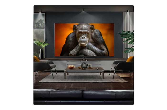 Campfire at night in the middle of nature. In the distance is a forest and lake. The evening sky is filled with stars. The whole scene is split in half. One side is darker and duller. The other half is remarkably brighter, showcasing the impressive brilliance from Brightness Booster. 