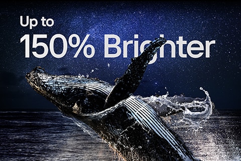 A whale jumping out of the water before a starry night sky. Above the whale is the phrase "up to 150% brighter".