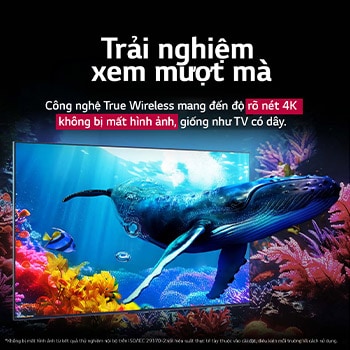 Một con cá voi bơi về phía người xem thông qua QNED9M đặt giữa rạn san hô trong đại dương. Văn bản nói về mức độ ấn tượng của chi tiết thể hiện chất lượng 4K không bị mất hình ảnh. 