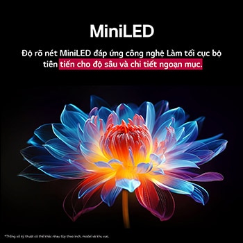 Bông hoa ba chiều 3D với nhiều màu và sắc thái khác nhau trên nền đen. Định nghĩa và chi tiết của bông hoa thể hiện khả năng tạo ra hình ảnh với màu sắc, độ sáng và độ tương phản vượt trội của QNED MiniLED. Tiêu đề nói về cách MiniLED tăng cường độ rõ nét và mang lại độ tương phản vượt trội.