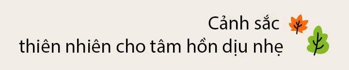 Tiêu đề: Cảnh sắc thiên nhiên cho tâm hồn dịu nhẹ