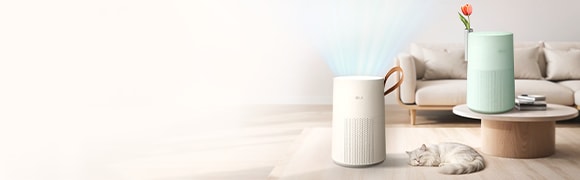 Ưu đãi Đánh bay mùa ẩm