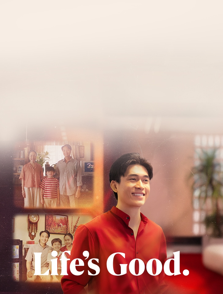 Banner kỉ niệm 30 năm đồng hành cùng Việt Nam