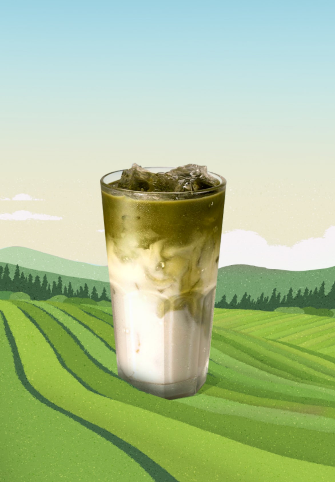 Green Tea Latte
