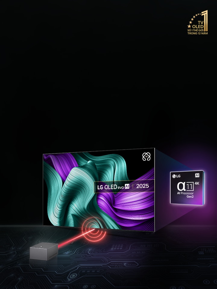 TV 2025