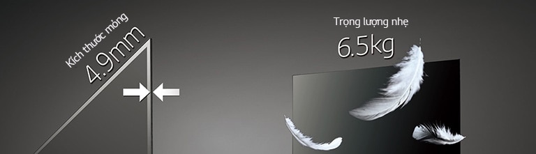 Màn hình OLED của LG rất mỏng và nhẹ với độ dày 4,9mm và trọng lượng 6,5kg.