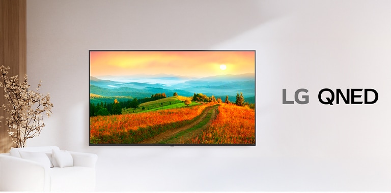 LG QNED TV hiển thị màn hình có màu sắc sống động và khả năng tái tạo màu chính xác.