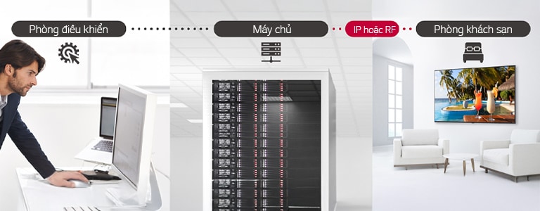 Người đàn ông đang quản lý một số nội dung và cài đặt TV trong khách sạn thông qua máy chủ bằng giải pháp Pro:Centric Direct.