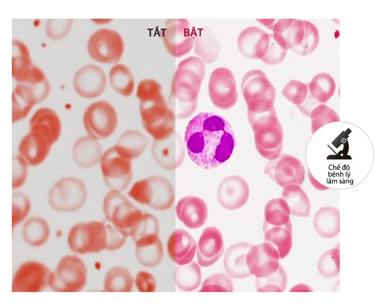 Tái hiện màu sắc chân thực