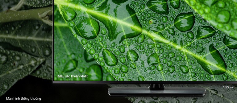 TV Khách sạn 4K UHD với màn hình NanoCell và Pro:Centric Direct