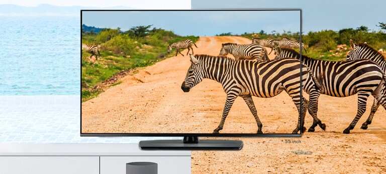 4K thực được tạo bởi màu sắc tinh khiết