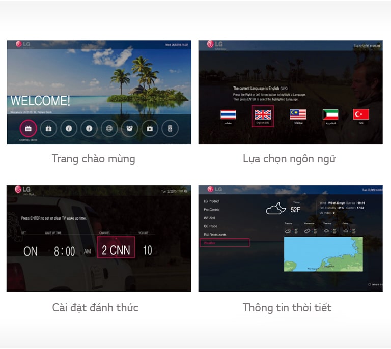 Ứng dụng máy chủ Pro: Centric
