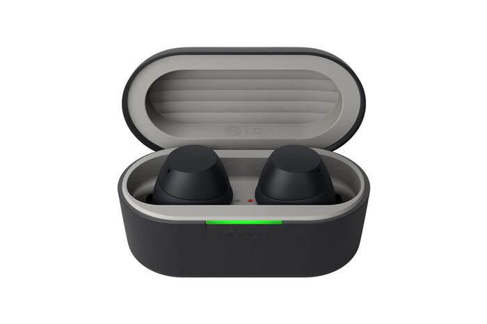 Front view of earphones placed inside