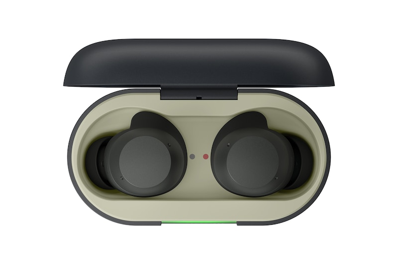 opened cradle top view with earbuds