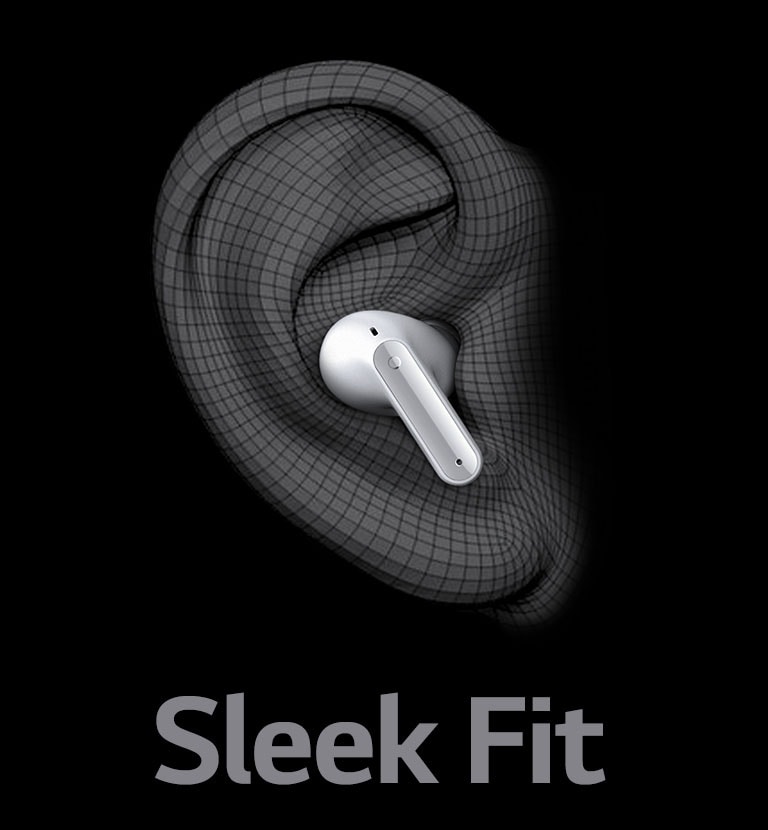 Thiết kế hình loa tai