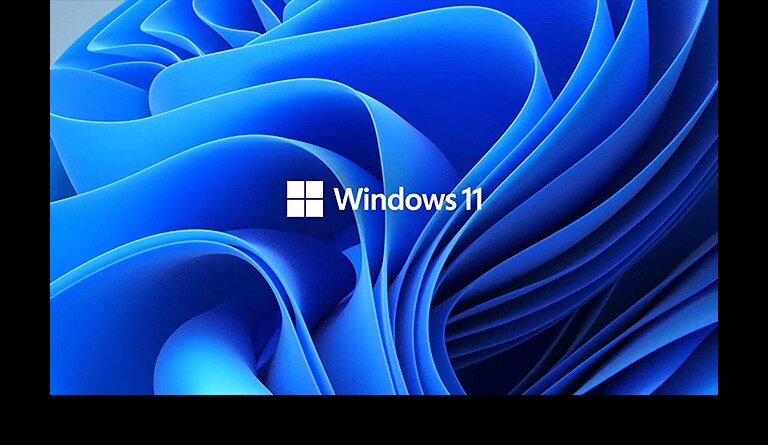 Hiển thị logo Windows 11 và hình nền.