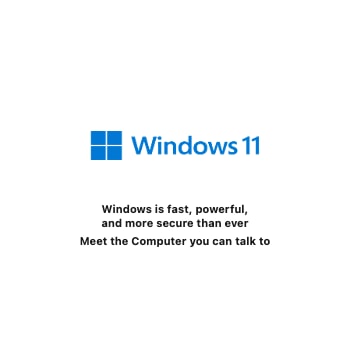 Windows 11
