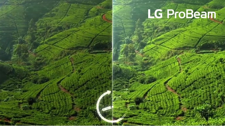 Tuổi thọ lên tới 20.000 giờ.