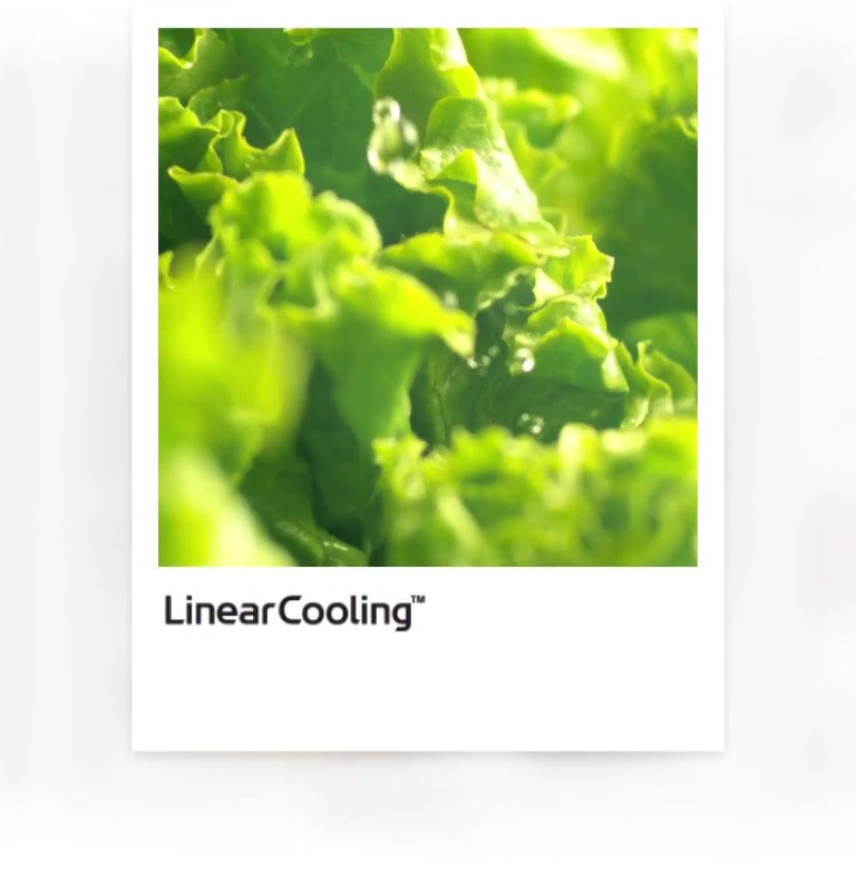 Công nghệ linear cooling của tủ lạnh LG ngăn đá dưới giữ thực phẩm tươi ngon tới 7 ngày cùng chức năng