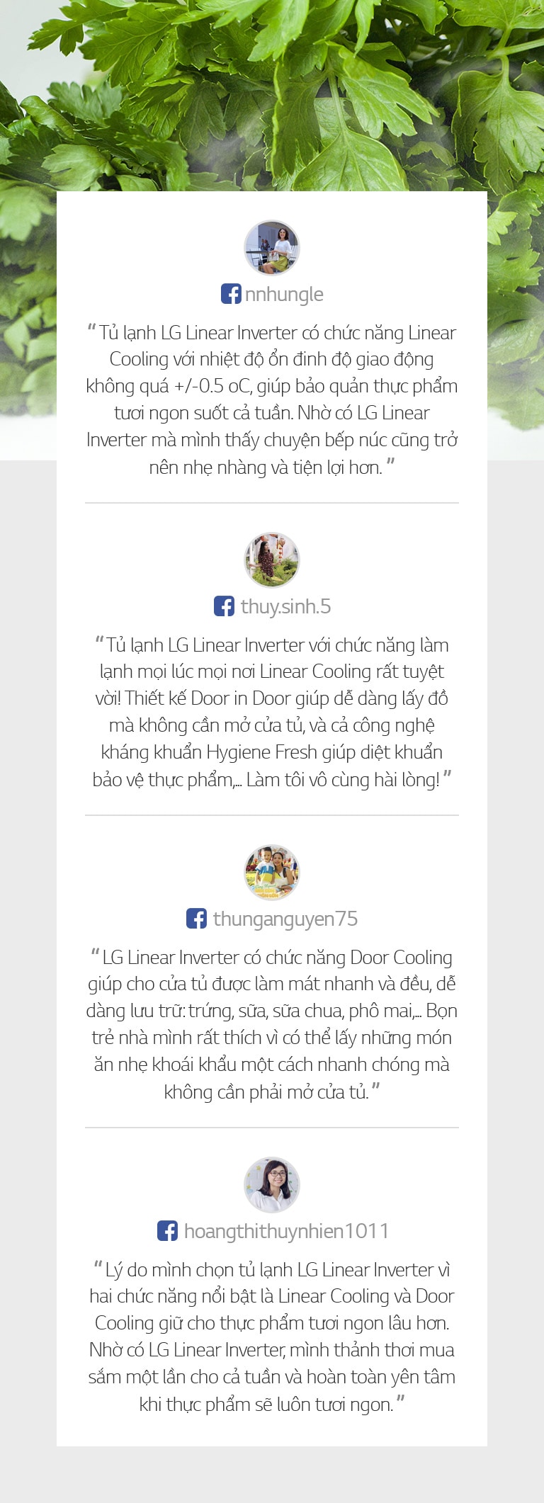 VN_LINEAR_ReviewCard_03_D