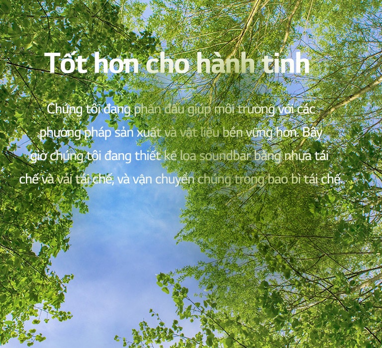Hình ảnh màu xanh lá cây với vô số cây nhiều lá và một bầu trời được hiển thị ở giữa