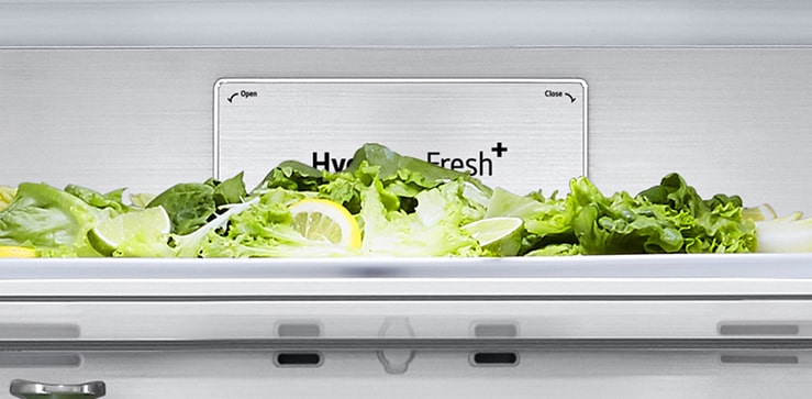 Cận cảnh nhãn metal fresh bên trong tủ lạnh.